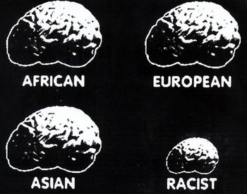 http://amitie-entre-les-peuples.org/IMG/jpg/racisme-cerveau.jpg